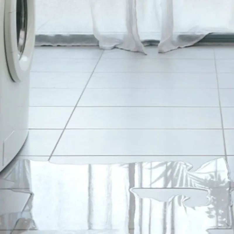 Appliance Leak Cleanup in Mansfield, MO
