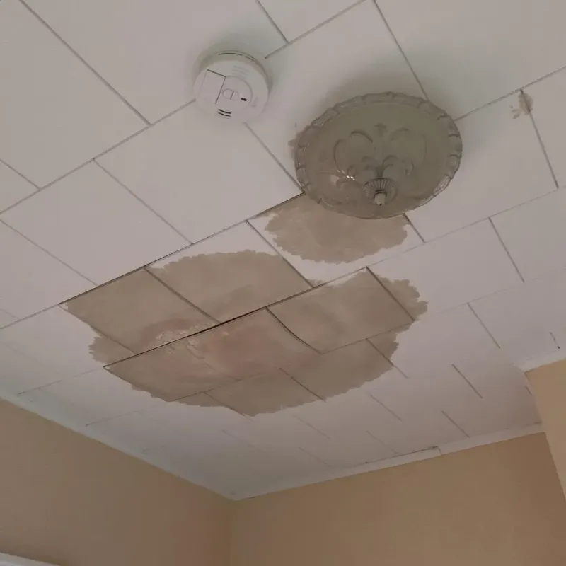 Ceiling Water Damage Repair in Mansfield, MO