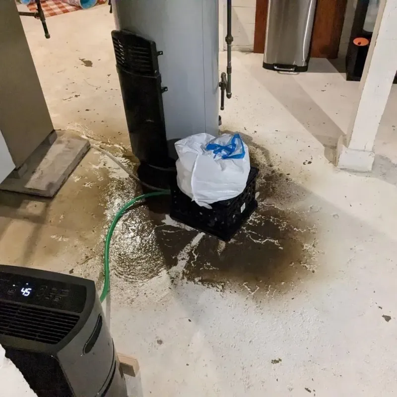 Sewage Backup Cleanup Service in Mansfield, MO